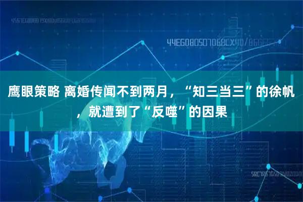鹰眼策略 离婚传闻不到两月，“知三当三”的徐帆，就遭到了“反噬”的因果