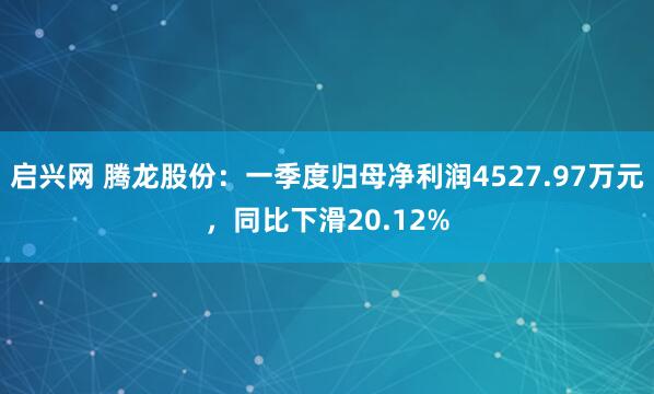启兴网 腾龙股份：一季度归母净利润4527.97万元，同比下滑20.12%