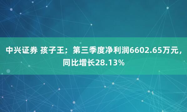中兴证券 孩子王：第三季度净利润6602.65万元，同比增长28.13%