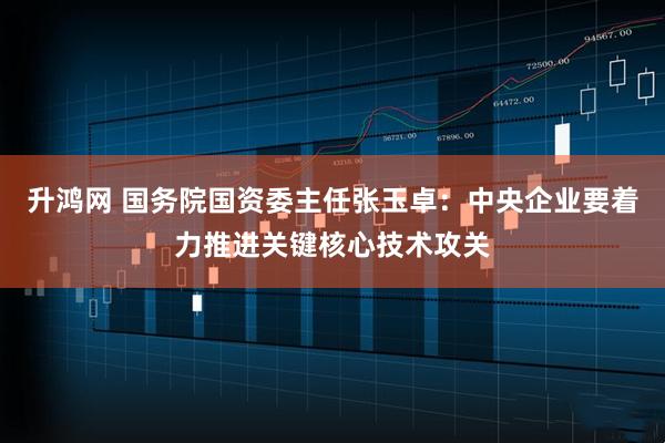升鸿网 国务院国资委主任张玉卓：中央企业要着力推进关键核心技术攻关