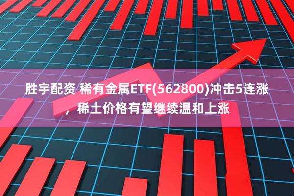 胜宇配资 稀有金属ETF(562800)冲击5连涨,稀土价格有望继续温和上涨