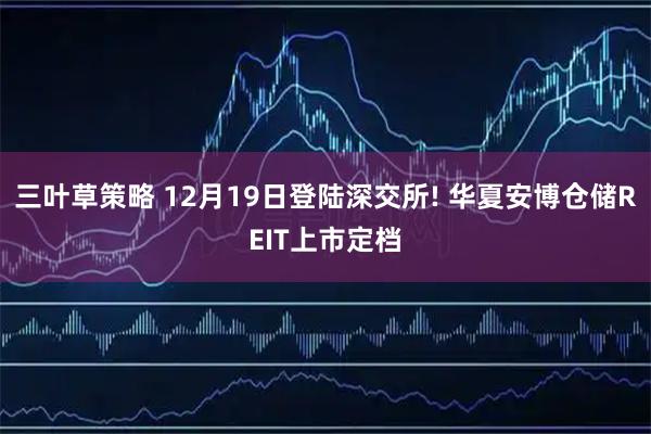三叶草策略 12月19日登陆深交所! 华夏安博仓储REIT上市定档