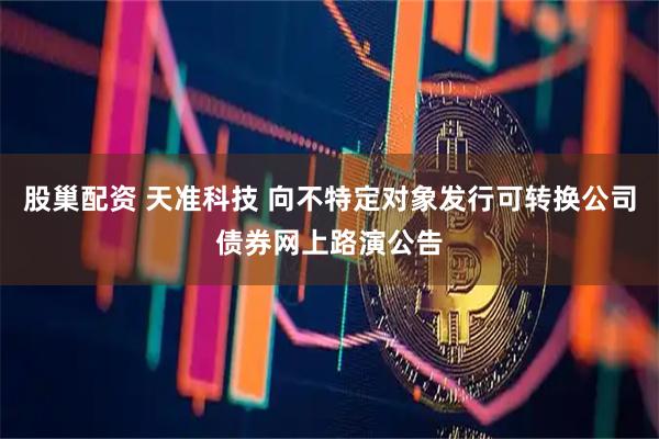 股巢配资 天准科技 向不特定对象发行可转换公司债券网上路演公告