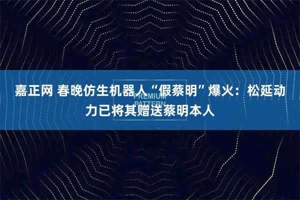 嘉正网 春晚仿生机器人“假蔡明”爆火：松延动力已将其赠送蔡明本人