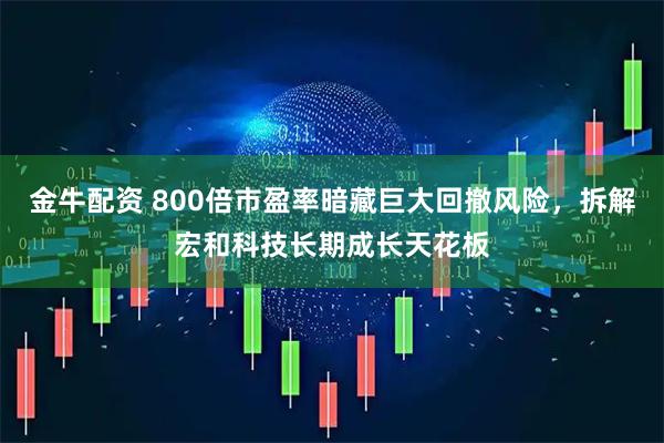 金牛配资 800倍市盈率暗藏巨大回撤风险，拆解宏和科技长期成长天花板